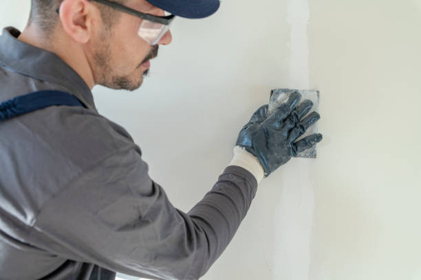 Best Repainting for Renovations  in Pismo Beach, CA